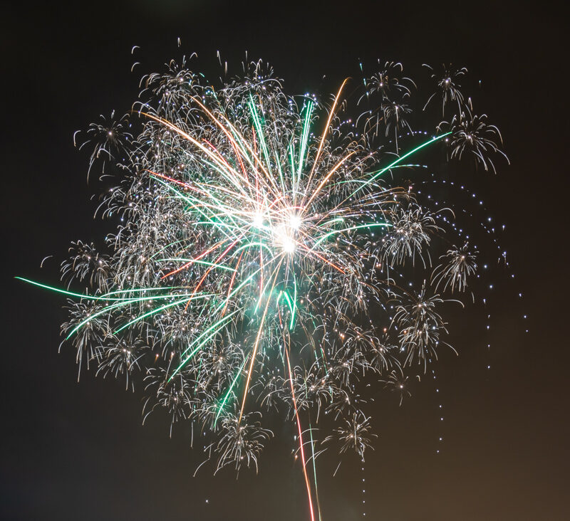 Árið 2021 - Yfirlit